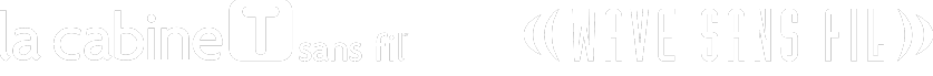 Likewize Logo